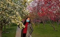 影音先锋2017av天堂